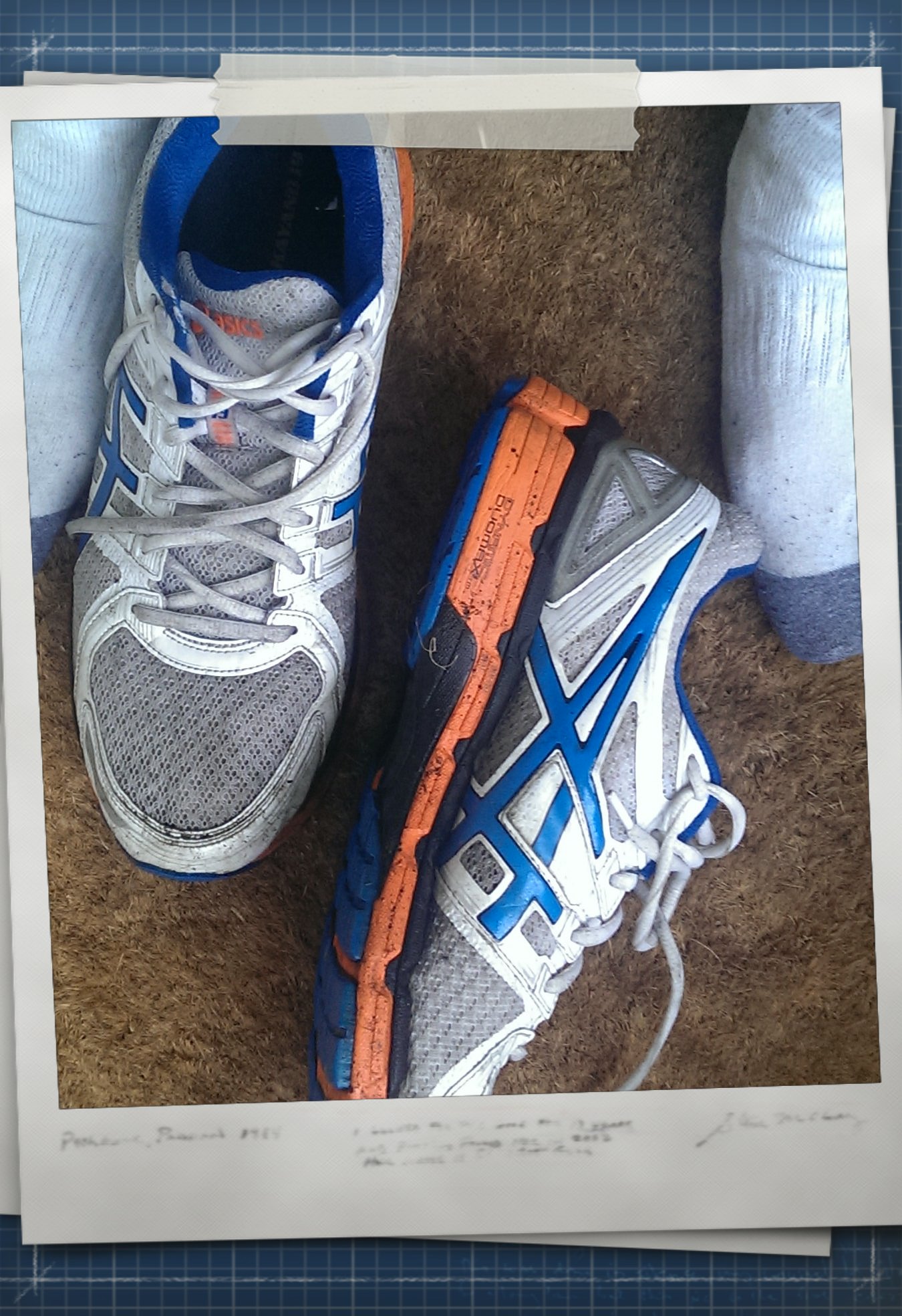 IMAG1834_1.jpg image